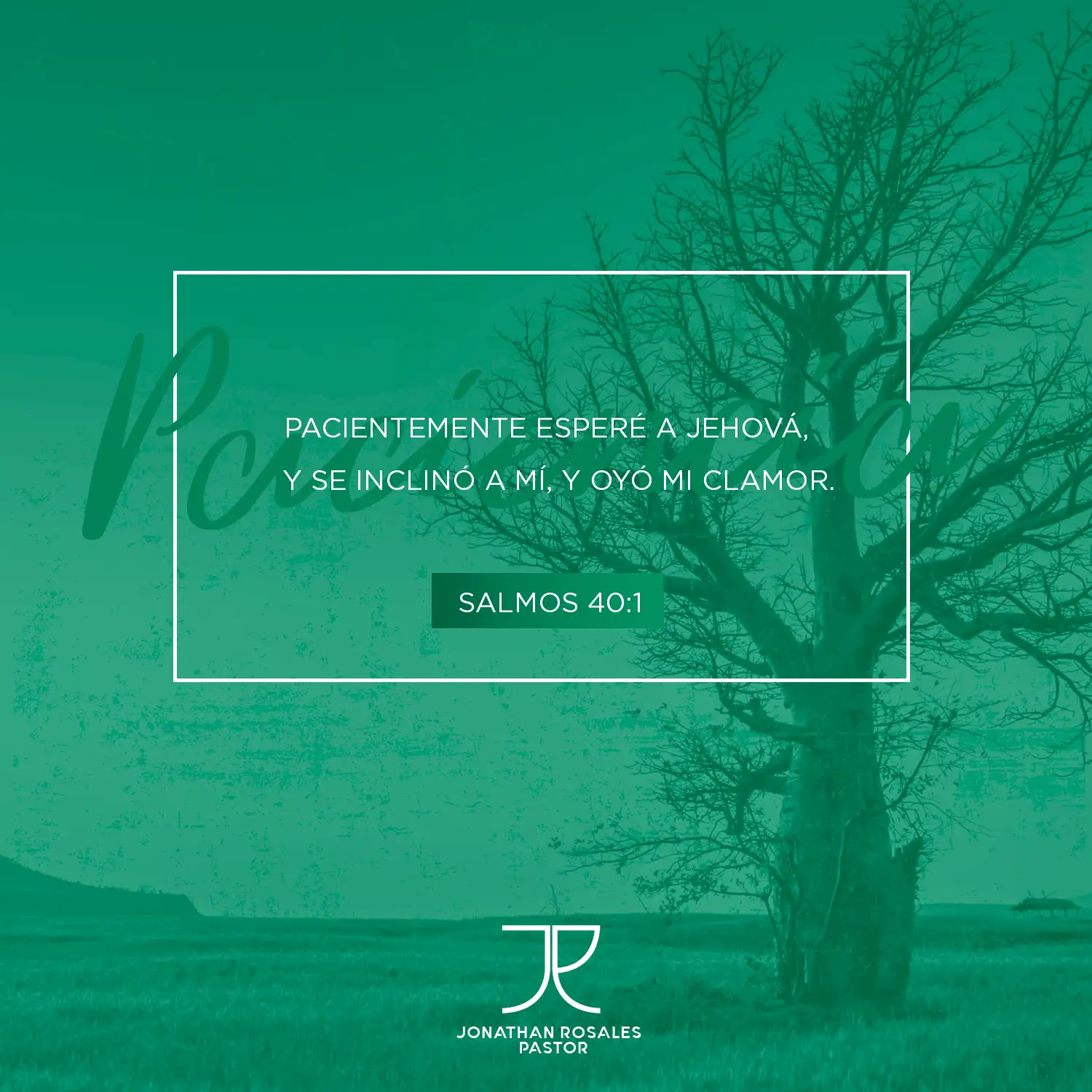 Jonathan Rosales - Pastor